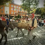 Oda ve Kahvaltı La Gourmantine Polignac (Haute-Loire)
